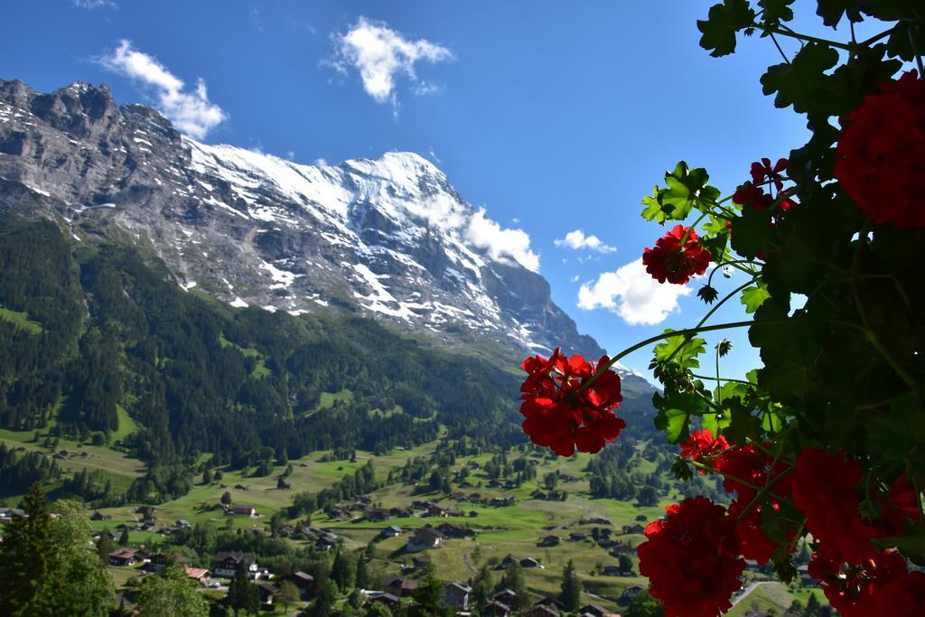 Superior Tweepersoonskamer Enzian met Uitzicht op de Eiger en Toegang tot de Tuin
